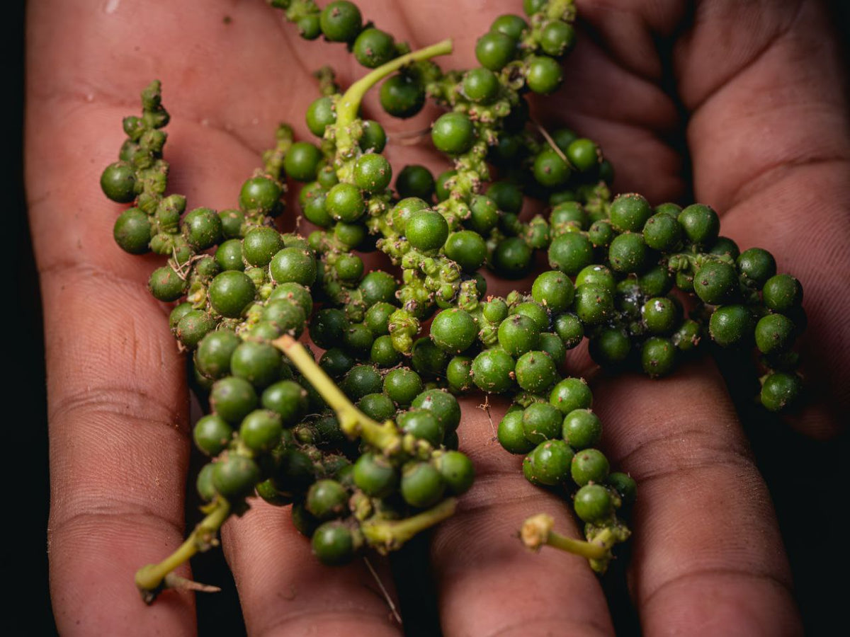 Organic Black Pepper - 50g