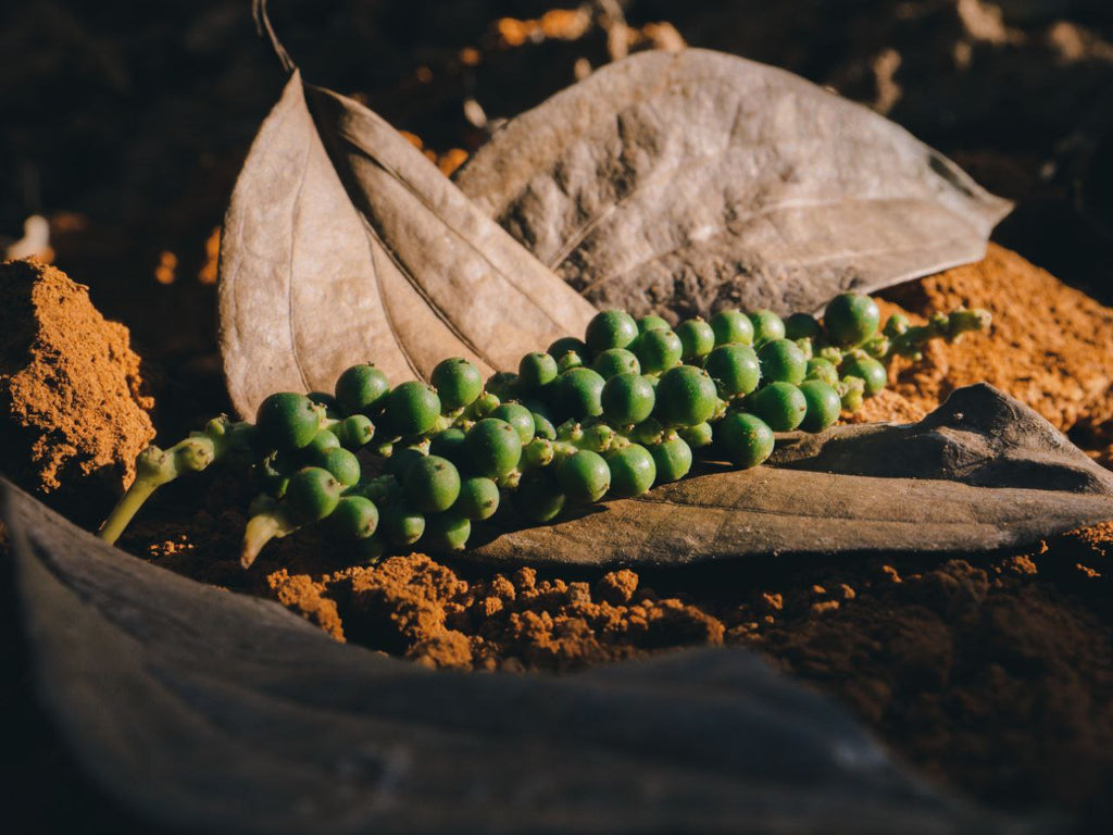 Salted Green Pepper Caviar — 50g