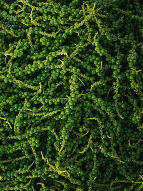 Salted Green Pepper Caviar — 50g