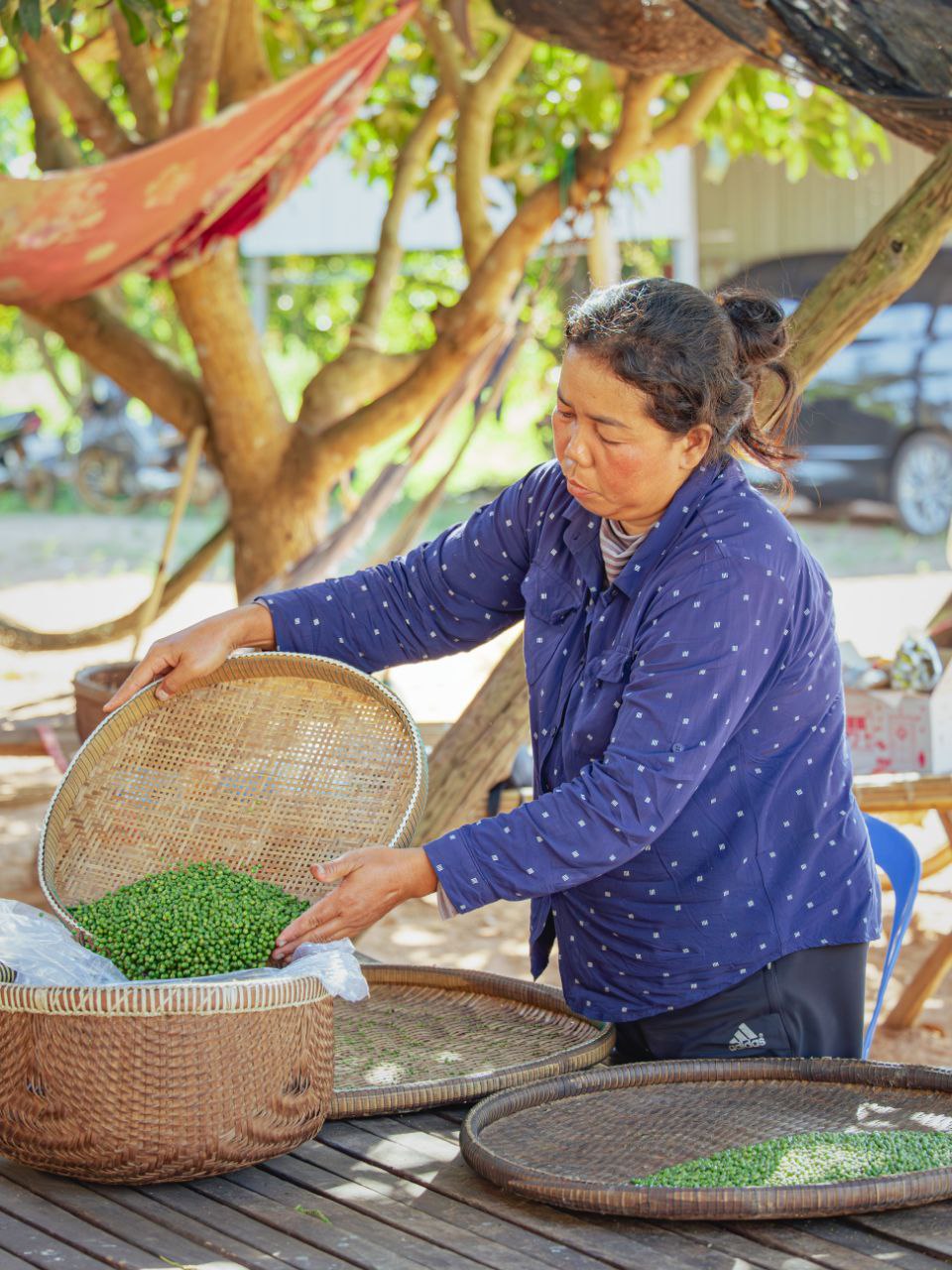 Organic Black Pepper - 50g – RAYS KAMPOT PEPPER